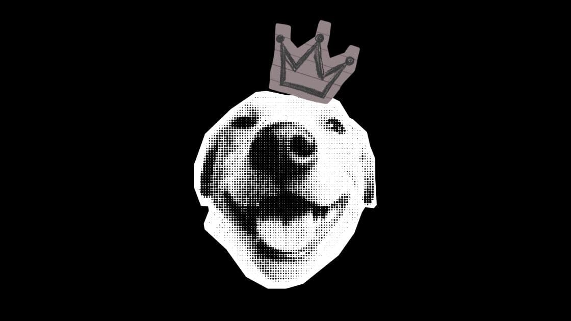 O que é Vibe Coding: O Guia Completo para Criar Software Conversando com IA